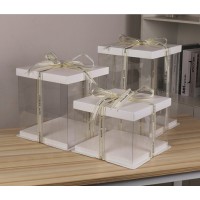 plastic square cake box